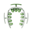  White green