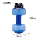  2600ml