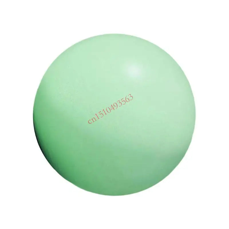 25cm Soft Pilates Ball Exercise Ball Gym Ball